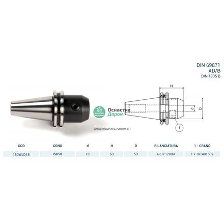 Оправка ISO50 DIN69871 WELDON H63 D.18 PAGNONI 150WLD18