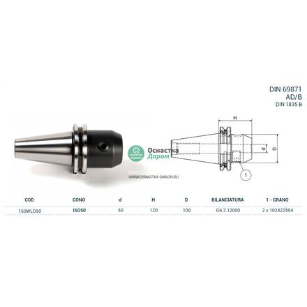Оправка ISO50 DIN69871 WELDON H120 D.50 PAGNONI 150WLD50