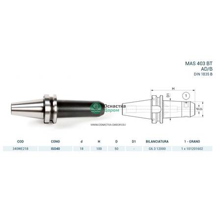 Оправка ISO40 MAS403BT WELDON H100 D.18 PAGNONI 340WE218