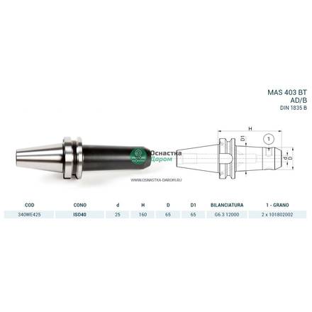 Оправка ISO40 MAS403BT WELDON H160 D.25 PAGNONI 340WE425