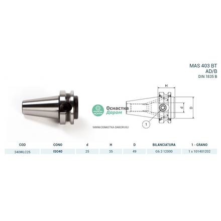 Оправка ISO40 MAS403BT WELDON H35 D.25 PAGNONI 340WLC25