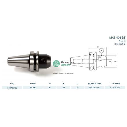 Оправка ISO40 MAS403BT WELDON H50 D.06 PAGNONI 340WLD06