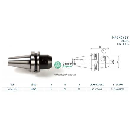 Оправка ISO40 MAS403BT WELDON H50 D.08 PAGNONI 340WLD08