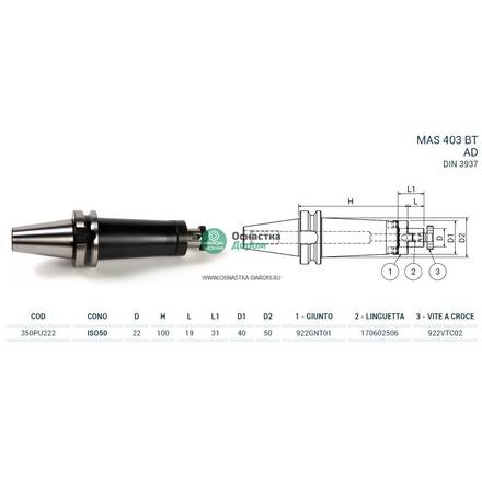 Оправка ISO50 MAS403BT P/F UNIV. H100 D.22 PAGNONI 350PU222