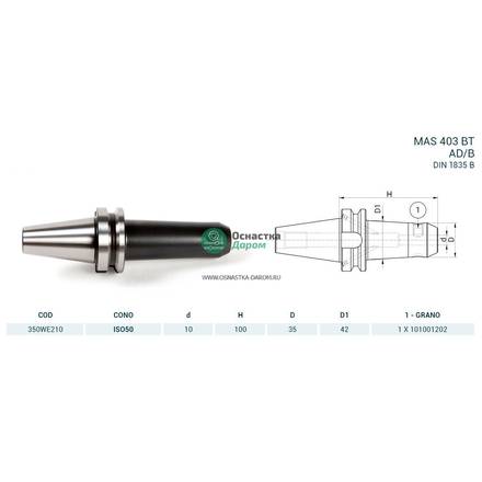 Оправка ISO50 MAS403BT WELDON H100 D.10 PAGNONI 350WE210