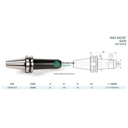 Оправка ISO50 MAS403BT WELDON H160 D.25 PAGNONI 350WE425