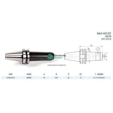 Оправка ISO50 MAS403BT WELDON H200 D.25 PAGNONI 350WE525