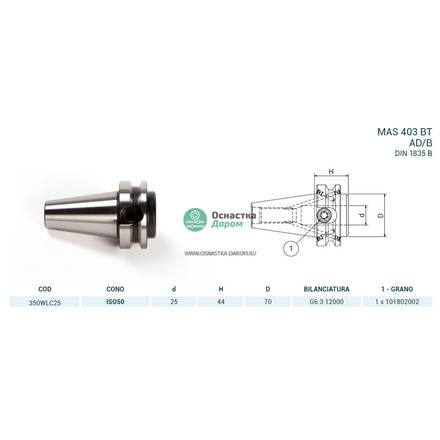 Оправка ISO50 MAS403BT WELDON H44 D.25PAGNONI 350WLC25