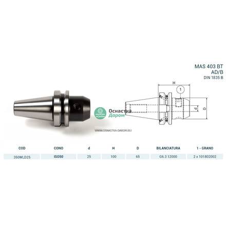 Оправка ISO50 MAS403BT WELDON H100 D.25 PAGNONI 350WLD25