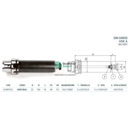 Оправка HSK100/A DIN69893 P/F FISSO H100 D22 PAGNONI 61APF222
