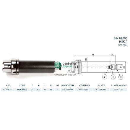 Оправка HSK100/A DIN69893 P/F FISSO H100 D27 PAGNONI 61APF227